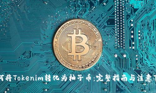 如何将Tokenim转化为柚子币：完整指南与注意事项