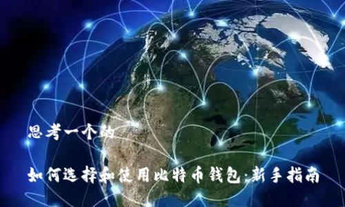 思考一个的

如何选择和使用比特币钱包：新手指南