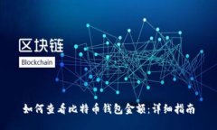 如何查看比特币钱包金额：详细指南