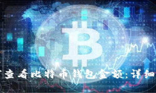 如何查看比特币钱包金额：详细指南