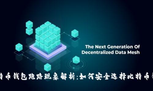 比特币钱包跑路现象解析：如何安全选择比特币钱包
