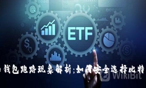 比特币钱包跑路现象解析：如何安全选择比特币钱包