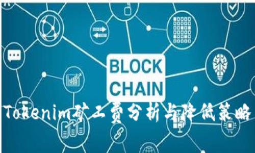 Tokenim矿工费分析与降低策略
