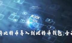 如何将比特币导入到比特币钱包：全面指南