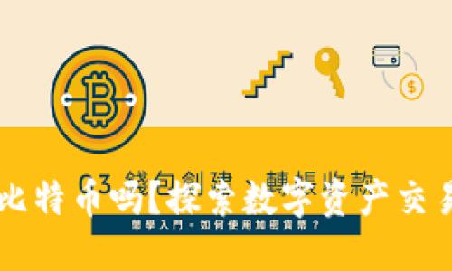 美国钱包能卖比特币吗？探索数字资产交易的现状与未来