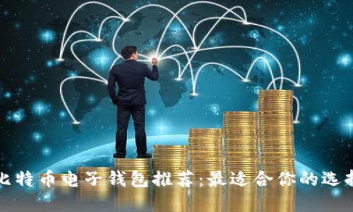 比特币电子钱包推荐：最适合你的选择