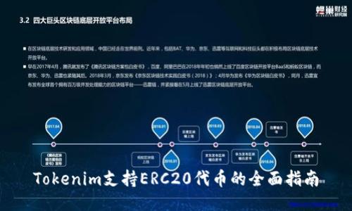 Tokenim支持ERC20代币的全面指南