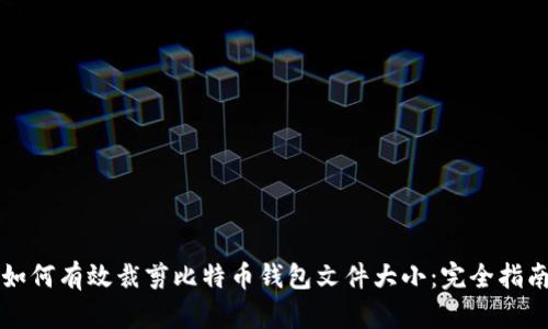 如何有效裁剪比特币钱包文件大小：完全指南