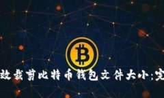 如何有效裁剪比特币钱包文件大小：完全指南