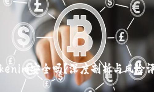 Tokenim安全吗？深度剖析与风险评估