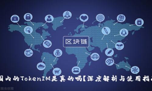 国内的TokenIM是真的吗？深度解析与使用指南