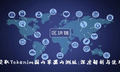 如何获取Tokenim国内苹果内测版：深度解析与使用指南