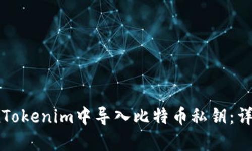 如何在Tokenim中导入比特币私钥：详尽指南