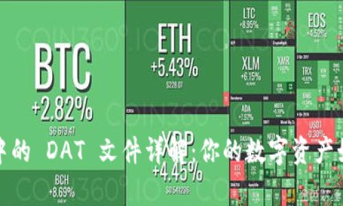 比特币钱包中的 DAT 文件详解：你的数字资产如何安全存储