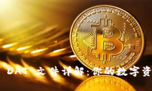 比特币钱包中的 DAT 文件详解：你的数字资产如何安全存储