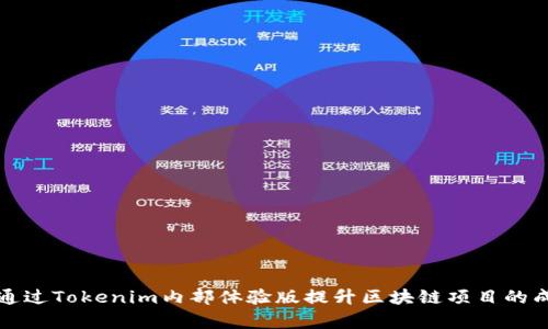 如何通过Tokenim内部体验版提升区块链项目的成功率