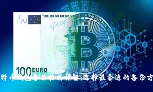 比特币钱包备份格式详解：选择最合适的备份方案