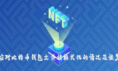 如何应对比特币钱包文件被格式化的情况及恢复方法