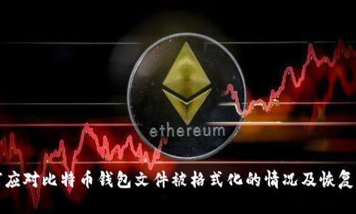 如何应对比特币钱包文件被格式化的情况及恢复方法