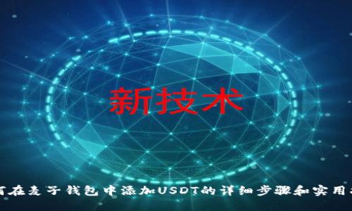如何在麦子钱包中添加USDT的详细步骤和实用指南