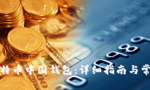 如何下载比特币中国钱包：详细指南与常见问题解答