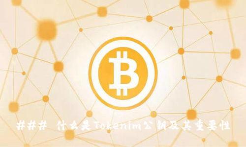 ### 什么是Tokenim公钥及其重要性