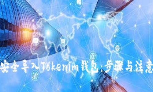 如何安全导入Tokenim钱包：步骤与注意事项
