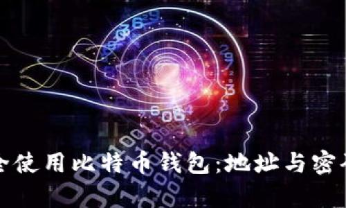 如何安全使用比特币钱包：地址与密码全解析