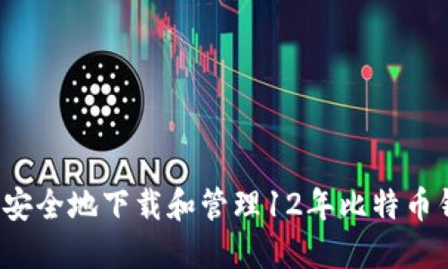 如何安全地下载和管理12年比特币钱包？