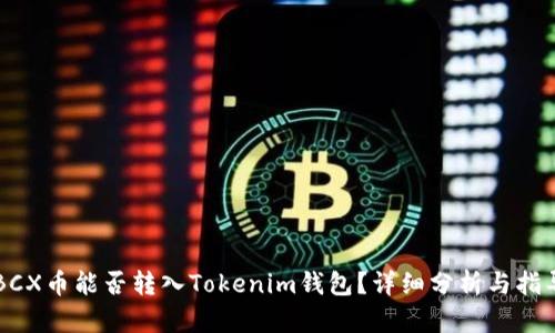 BCX币能否转入Tokenim钱包？详细分析与指导