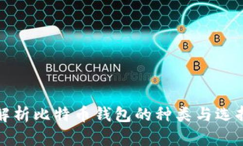 全面解析比特币钱包的种类与选择指南