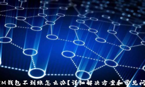 
TokenIM钱包不到账怎么办？详细解决方案和常见问题解析