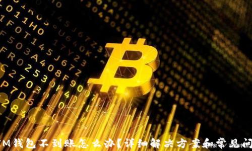 
TokenIM钱包不到账怎么办？详细解决方案和常见问题解析