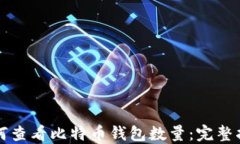 如何查看比特币钱包数量：完整指南