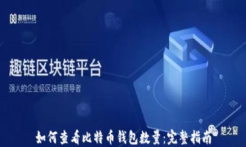 
如何查看比特币钱包数量：完整指南