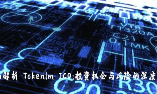 全面解析 Tokenim ICO：投资机会与风险的深度分析