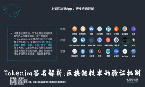 Tokenim签名解析：区块链技术的验证机制