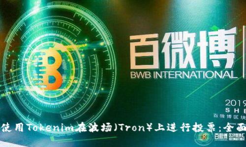 如何使用Tokenim在波场（Tron）上进行投票：全面指南