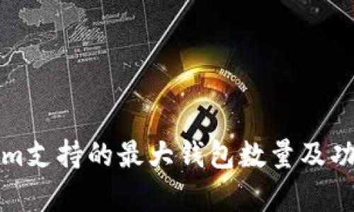 Tokenim支持的最大钱包数量及功能解析