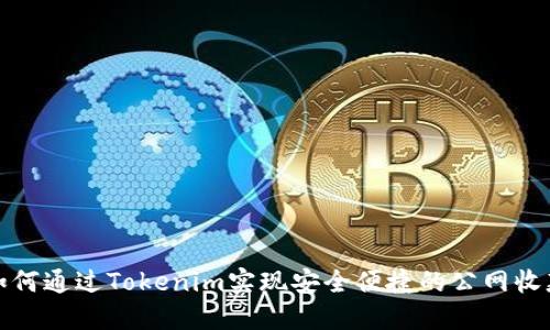 如何通过Tokenim实现安全便捷的公网收款