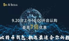 全面解析各版本比特币钱包：挑选最适合你的数