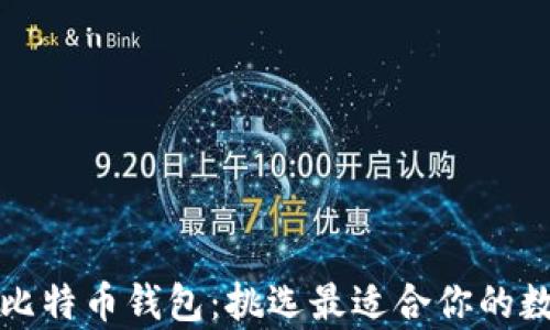 
全面解析各版本比特币钱包：挑选最适合你的数字资产保管方式