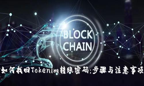 如何找回Tokenim转账密码：步骤与注意事项