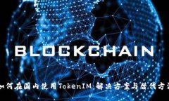 如何在国内使用TokenIM：解决方案与替代方法