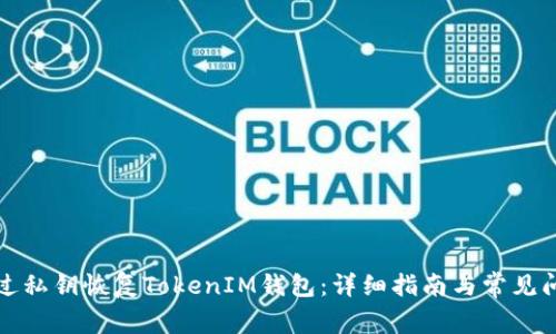 如何通过私钥恢复TokenIM钱包：详细指南与常见问题解答