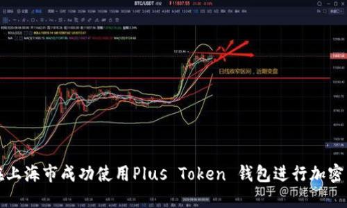 : 如何在上海市成功使用Plus Token 钱包进行加密货币交易