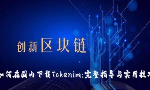 如何在国内下载Tokenim：完整指导与实用技巧