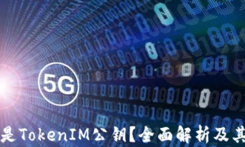 
什么是TokenIM公钥？全面解析及其功能