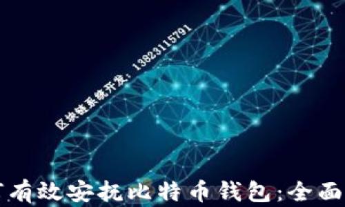 
如何有效安抚比特币钱包：全面指南
