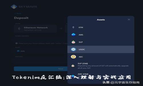 Tokenim反汇编：深入理解与实战应用